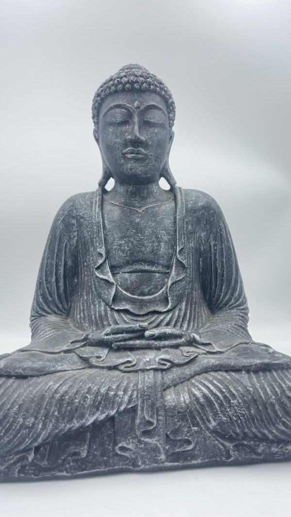 Buda grisáceo - Imagen 2