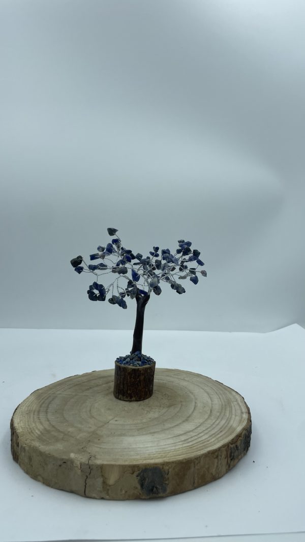 Árbol de sodalita