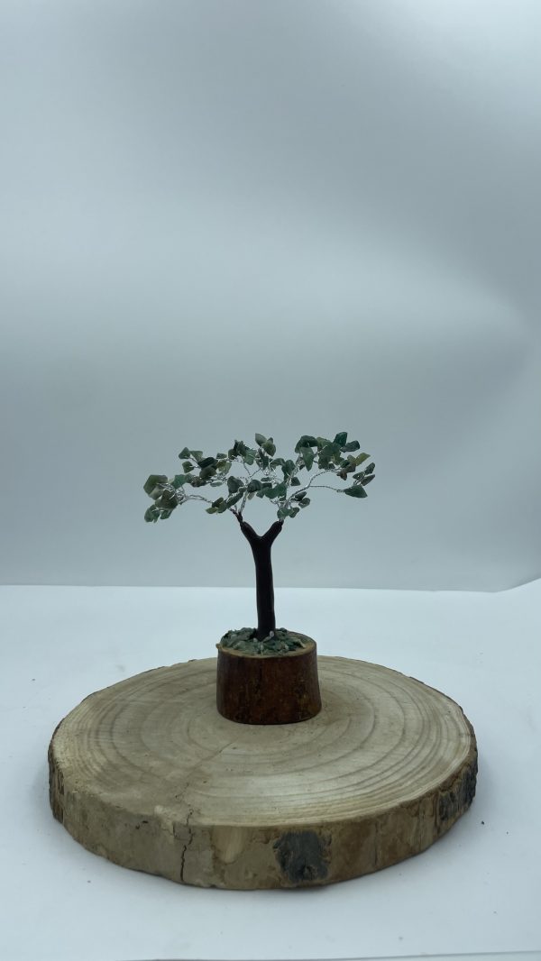 Árbol de jade