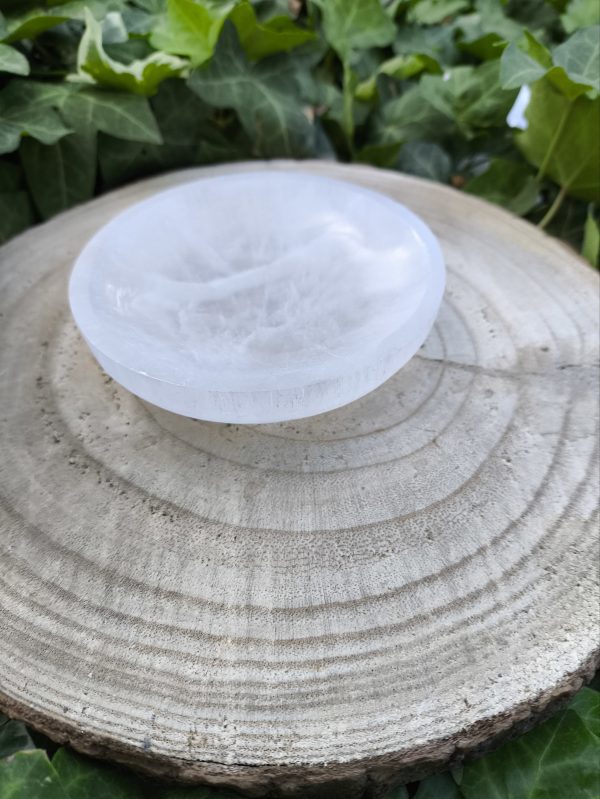 Base selenita
