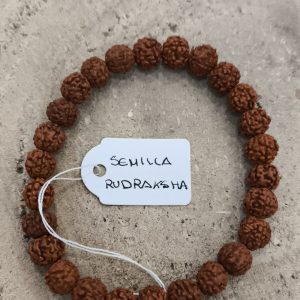 Pulsera semilla rudraksha