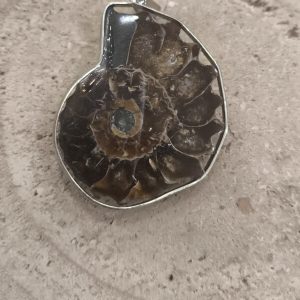 Colgante de amonite