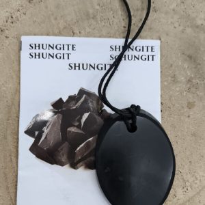 Colgante shungita natural