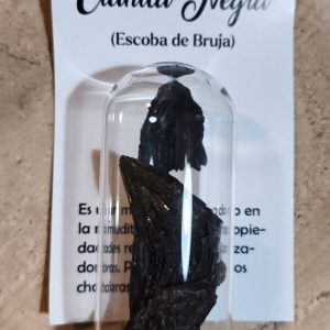 Cianita negra (escoba de Bruja)