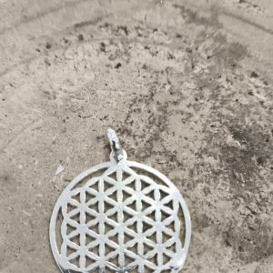Colgante flor de la vida en plata de ley