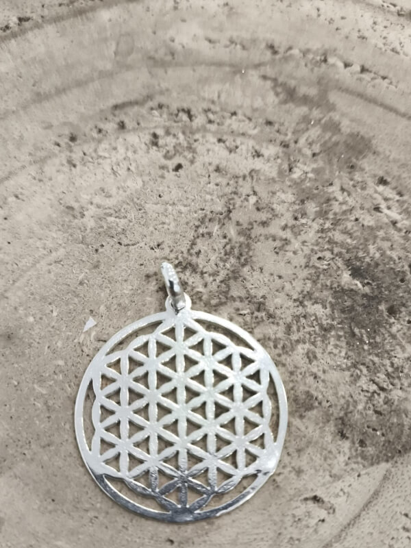 Colgante flor de la vida en plata de ley